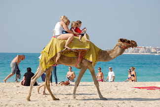 Дубай отдых с детьми отели